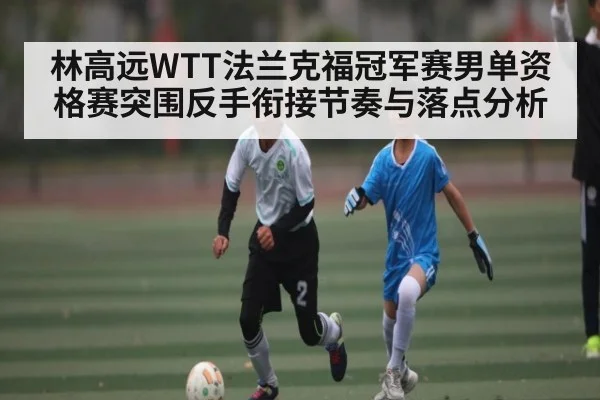 林高远WTT法兰克福冠军赛男单资格赛突围反手衔接节奏与落点分析
