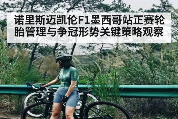 诺里斯迈凯伦F1墨西哥站正赛轮胎管理与争冠形势关键策略观察